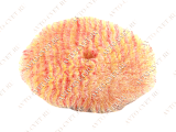 картинка Полировальный круг из цветного меха, 130 мм Unicorn Wool Pad Shine Systems